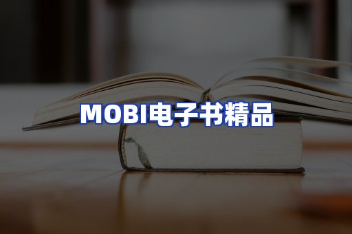 外文电子书产品